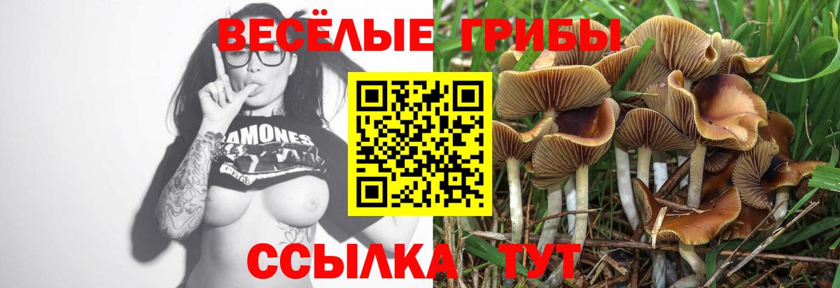 Галлюциногенные грибы MAGIC MUSHROOMS  Вход с VPN  Медногорск  Псилоцибиновые грибы MAGIC MUSHROOMS 